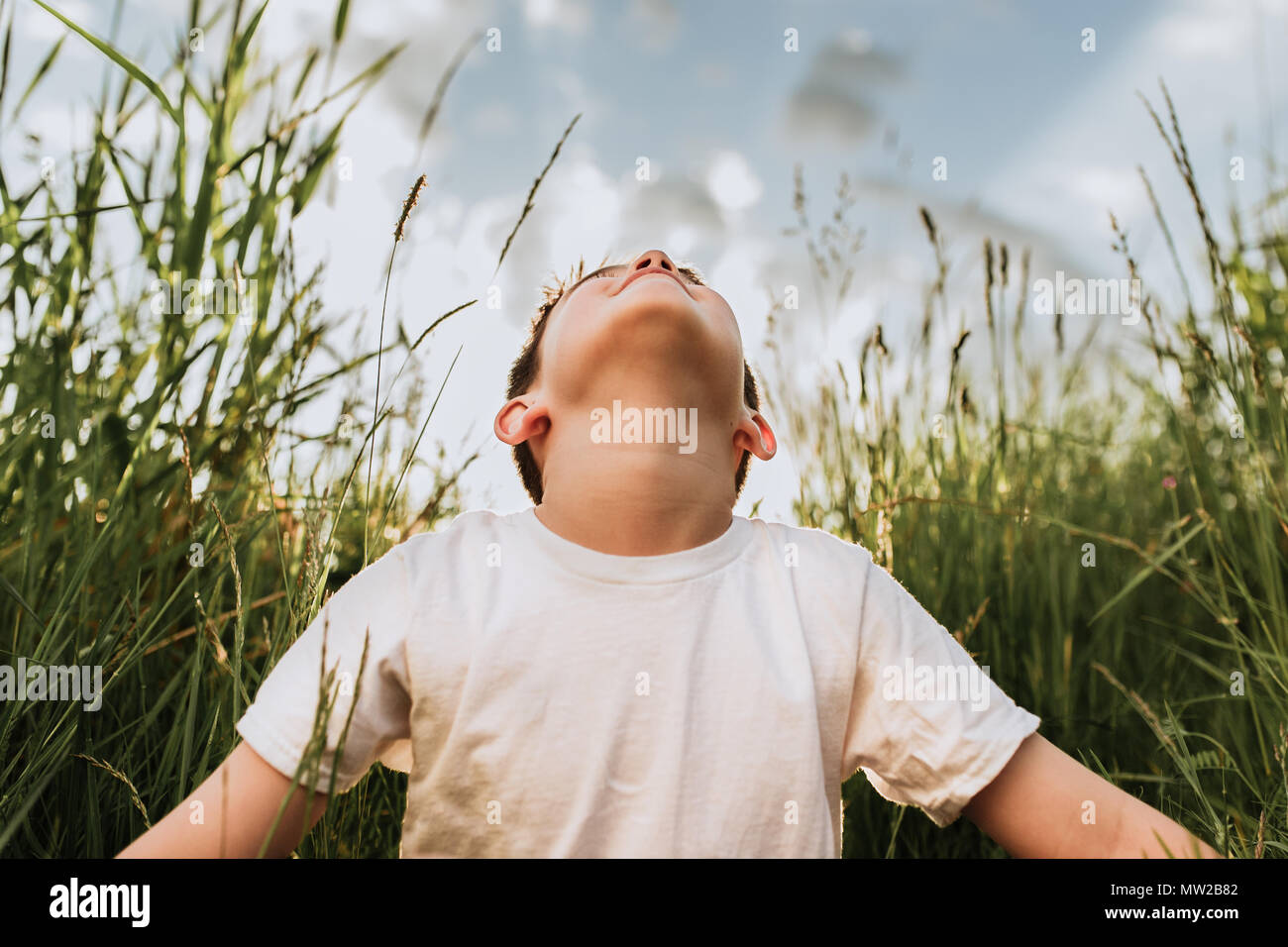 young boy sitting in a field of tall grass looking up at the sky Stock Photo