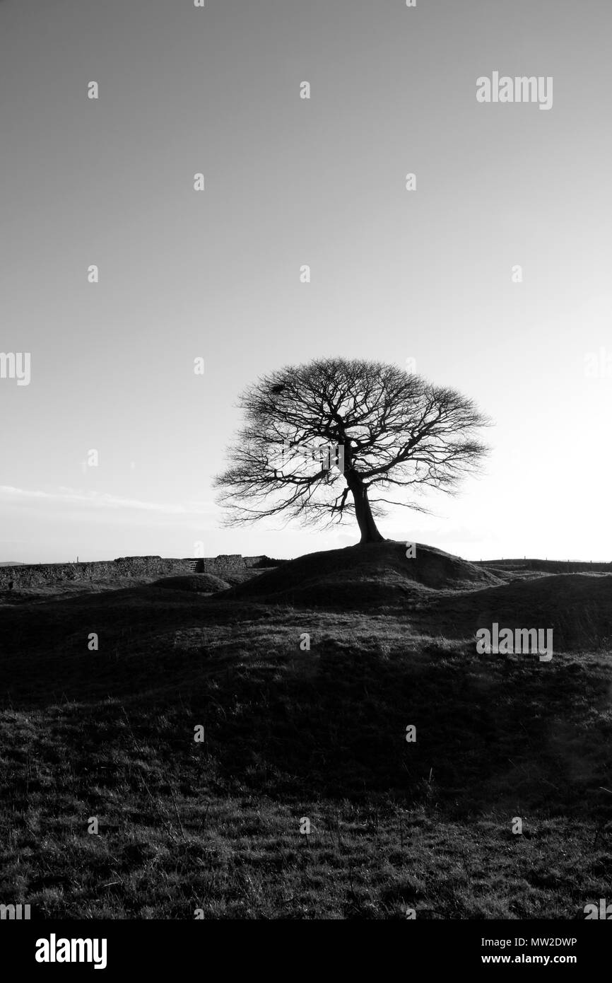 Grindon Moor, Peak District, Staffordshire, England, UK Stock Photo