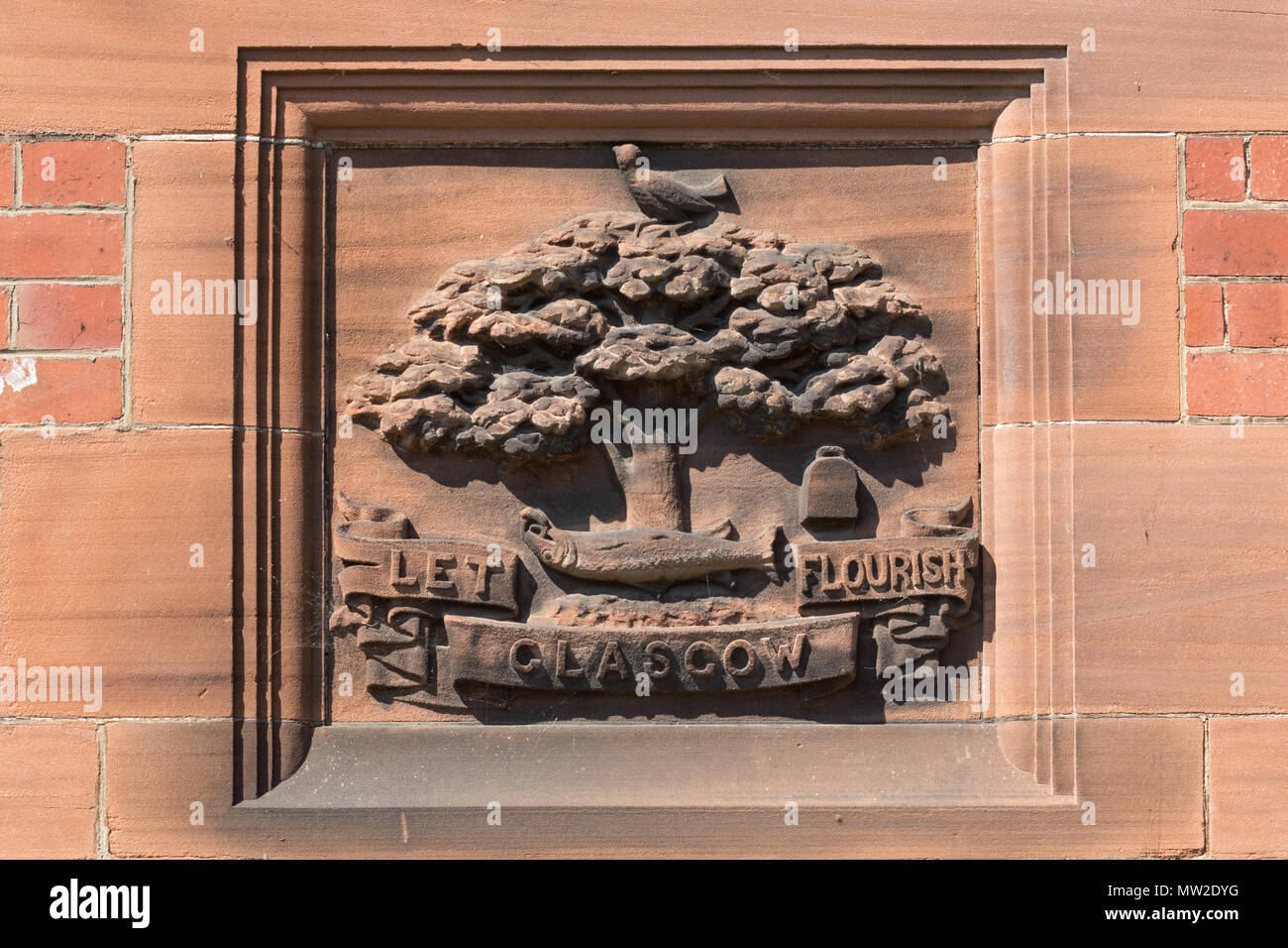Glasgow coat of arms in the Glasgow Botanic Gardens, Scotland, UK Stock