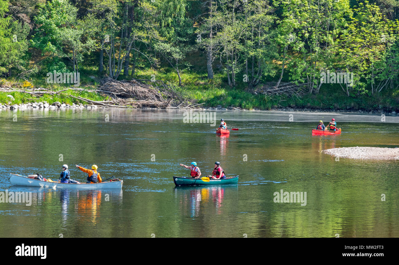 RIVER SPEY TAMDHU SCOTLAND CANOE CANOEIST FOUR CANOES WITH PEOPLE ON A LARGE POOL ON THE RIVER IN SPRING Stock Photo