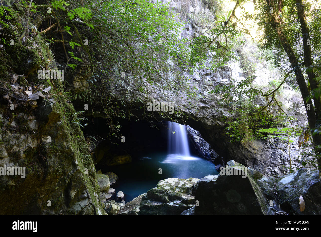 The Natural bridge and waterfall at Springbrook national park in Queensland. Stock Photo