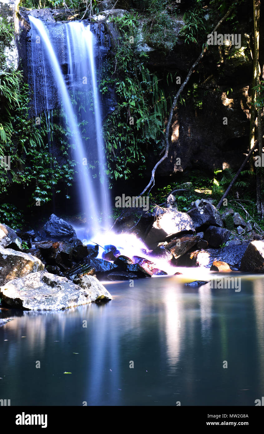 Curtis falls in Tamborine national park, Queensland, Australia Stock