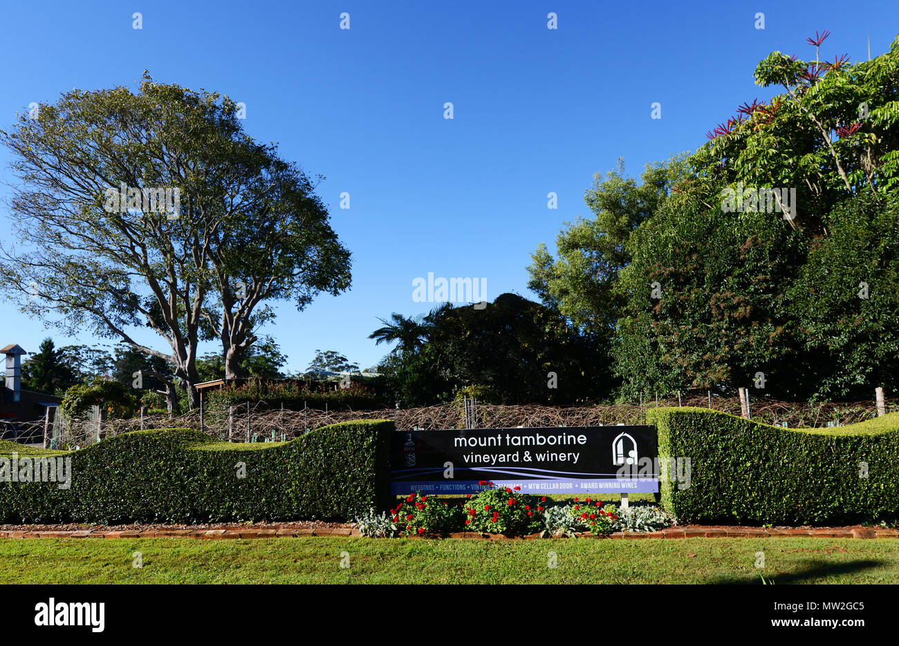 The Mount Tamborine winery Stock Photo Alamy