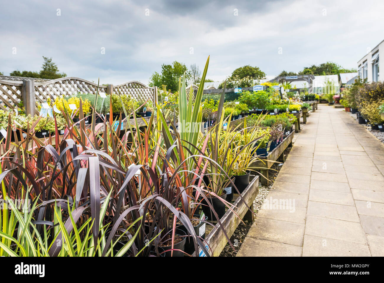 Uk garden centre hi-res stock photography and images - Alamy