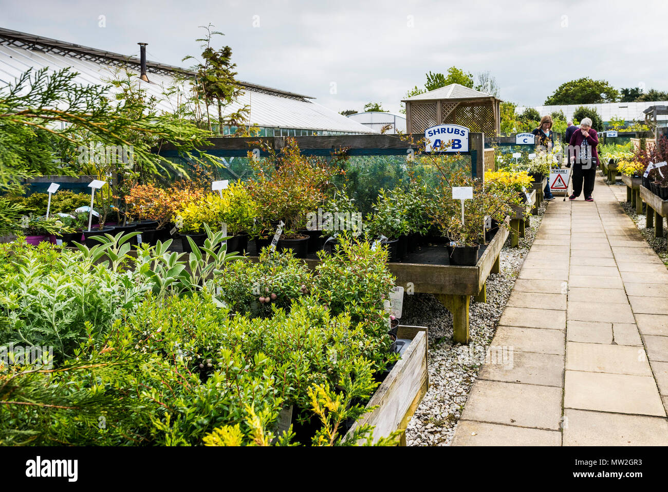 Buying a greenhouse hires stock photography and images Alamy