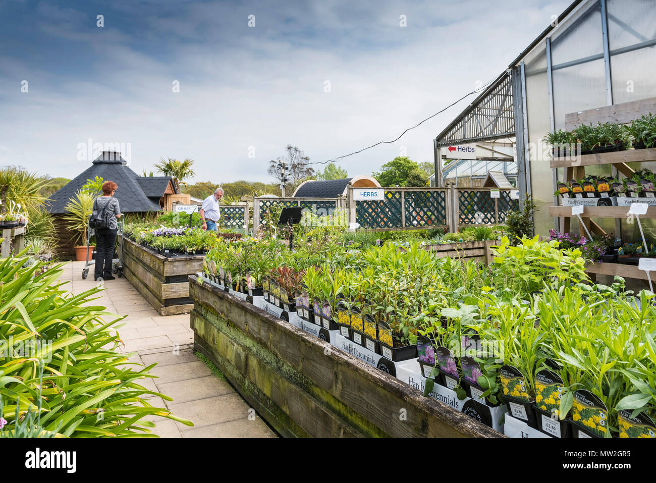 Plants for sale in a garden centre in the UK. Stock Photo