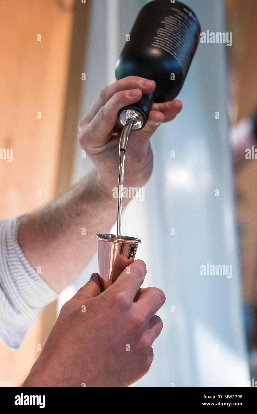 A bartender preparing a cocktail at a gin tasting event. Stock Photo