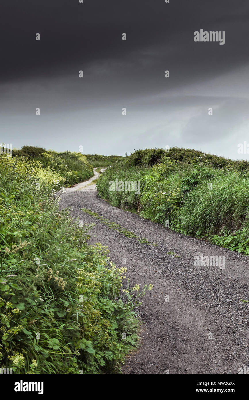 A quiet empty country lane in Cornwall Stock Photo Alamy