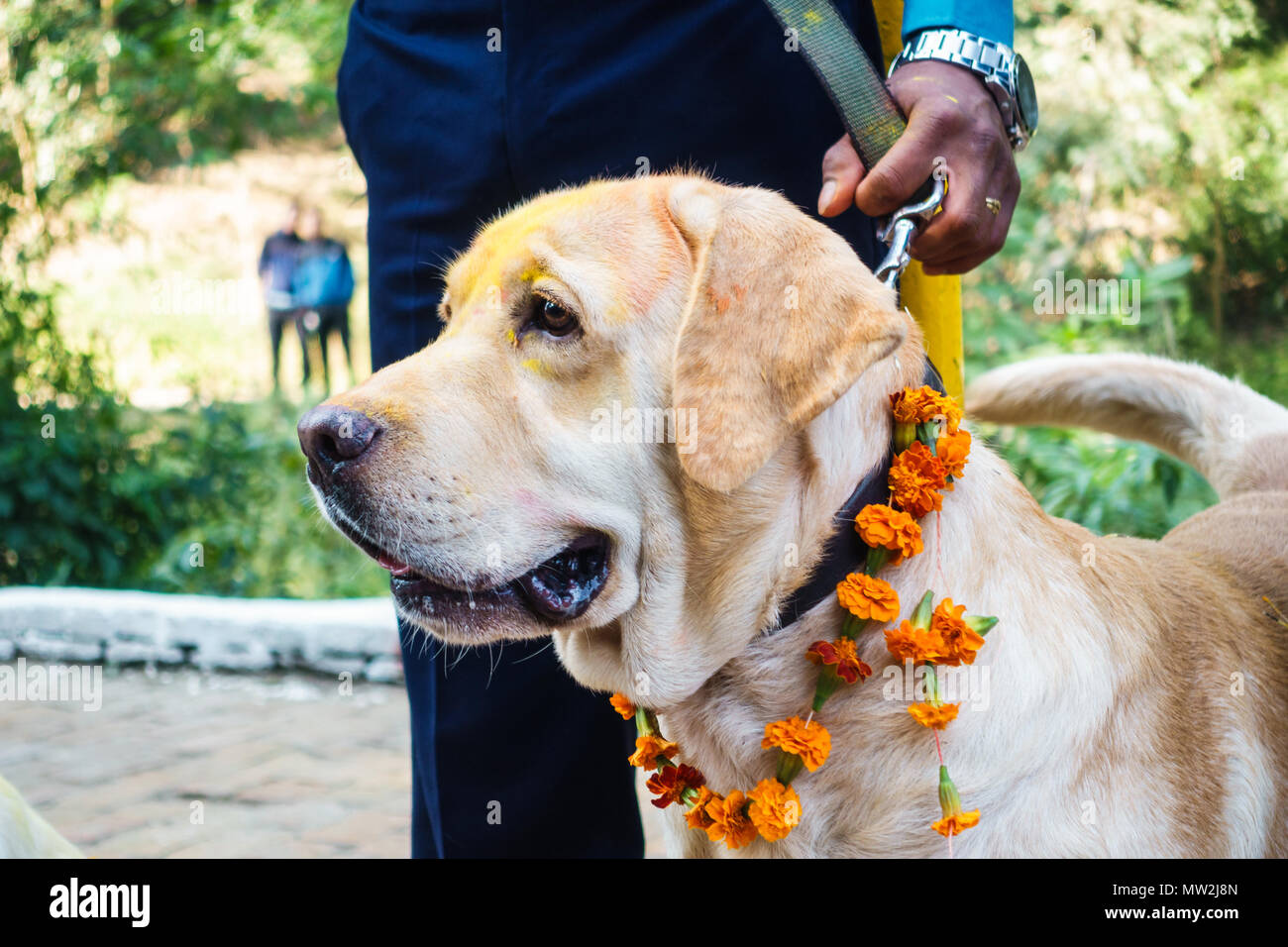 KATHMANDU, NEPAL OCTOBER 29, 2016 Nepal police celebrates Kukur