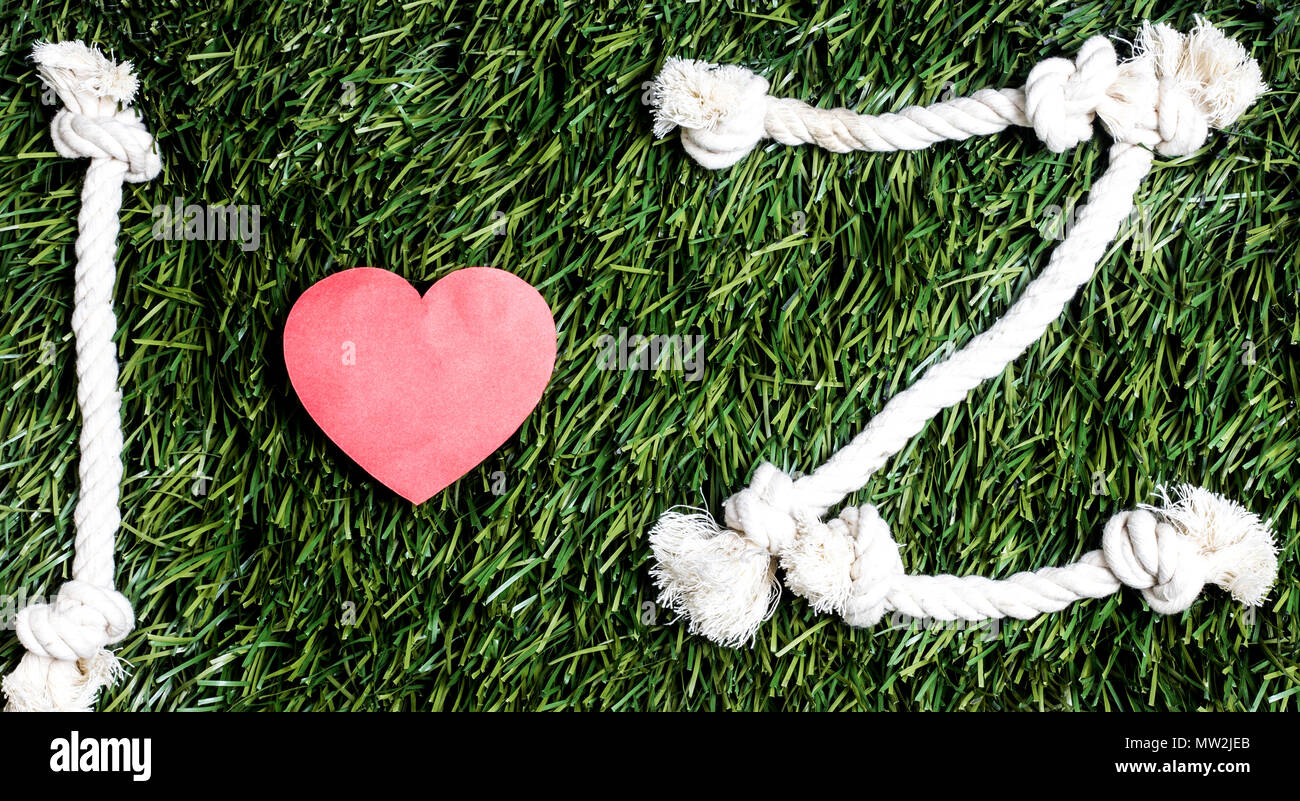 I love Z transcription made from ropes on grass background Stock ...