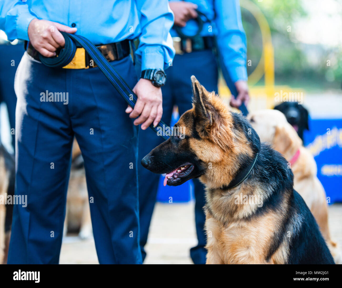 KATHMANDU, NEPAL OCTOBER 29, 2016 Nepal police celebrates Kukur