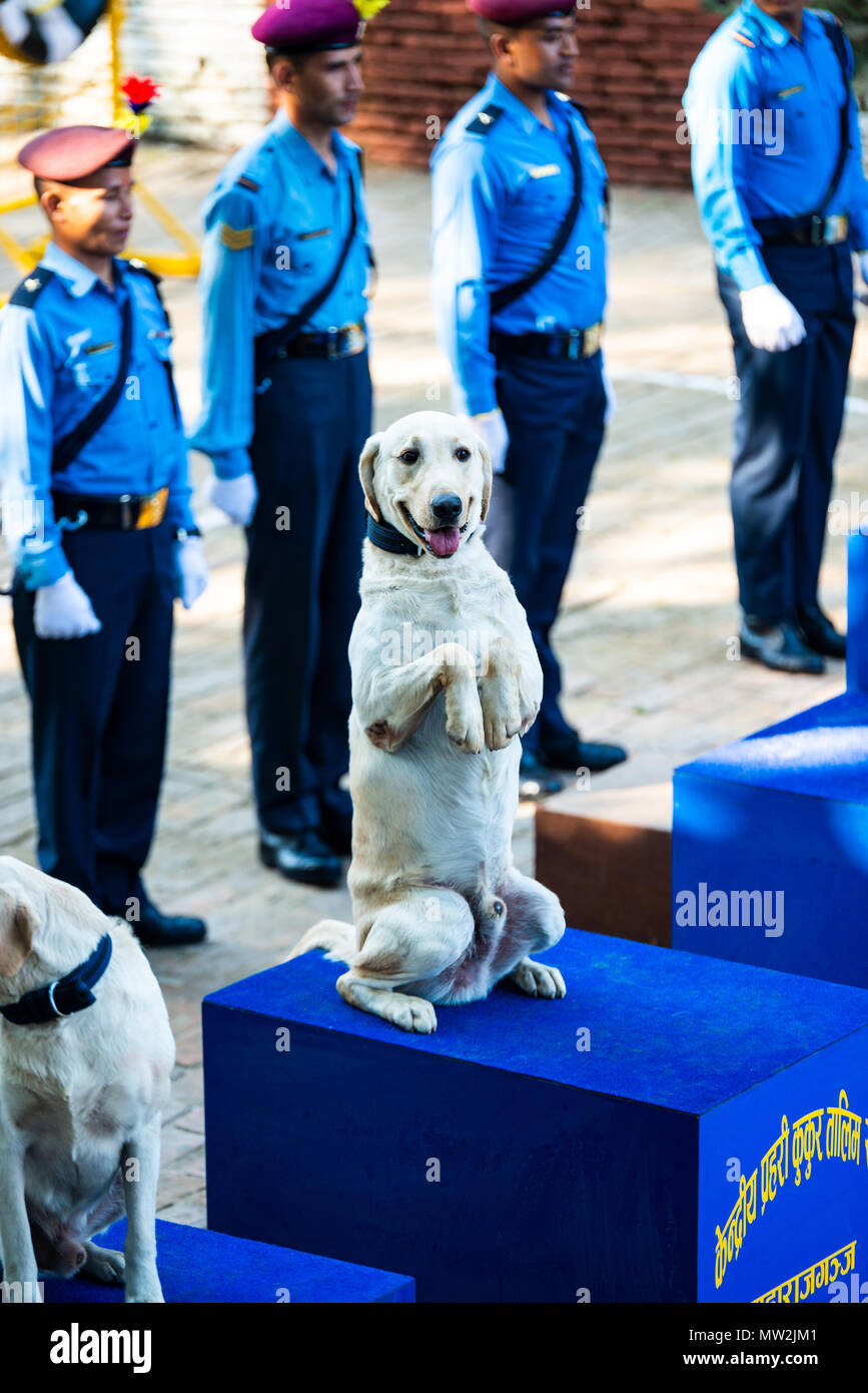 KATHMANDU, NEPAL OCTOBER 29, 2016 Nepal police celebrates Kukur