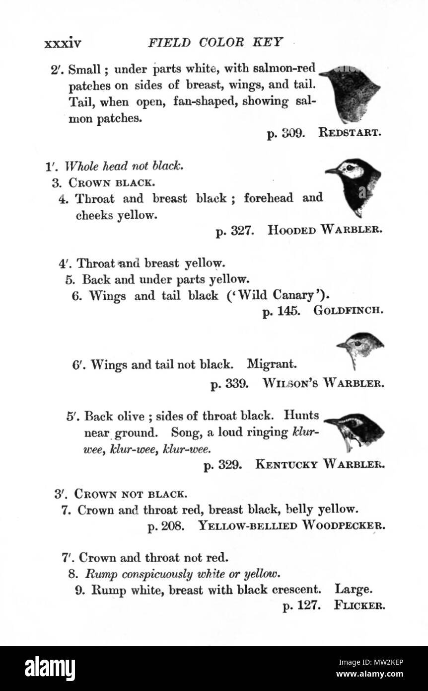 . Page from Birds of Village and Field . 1898. Florence Merriam Bailey 633 VillageBirdsFlorenceMerriam Stock Photo
