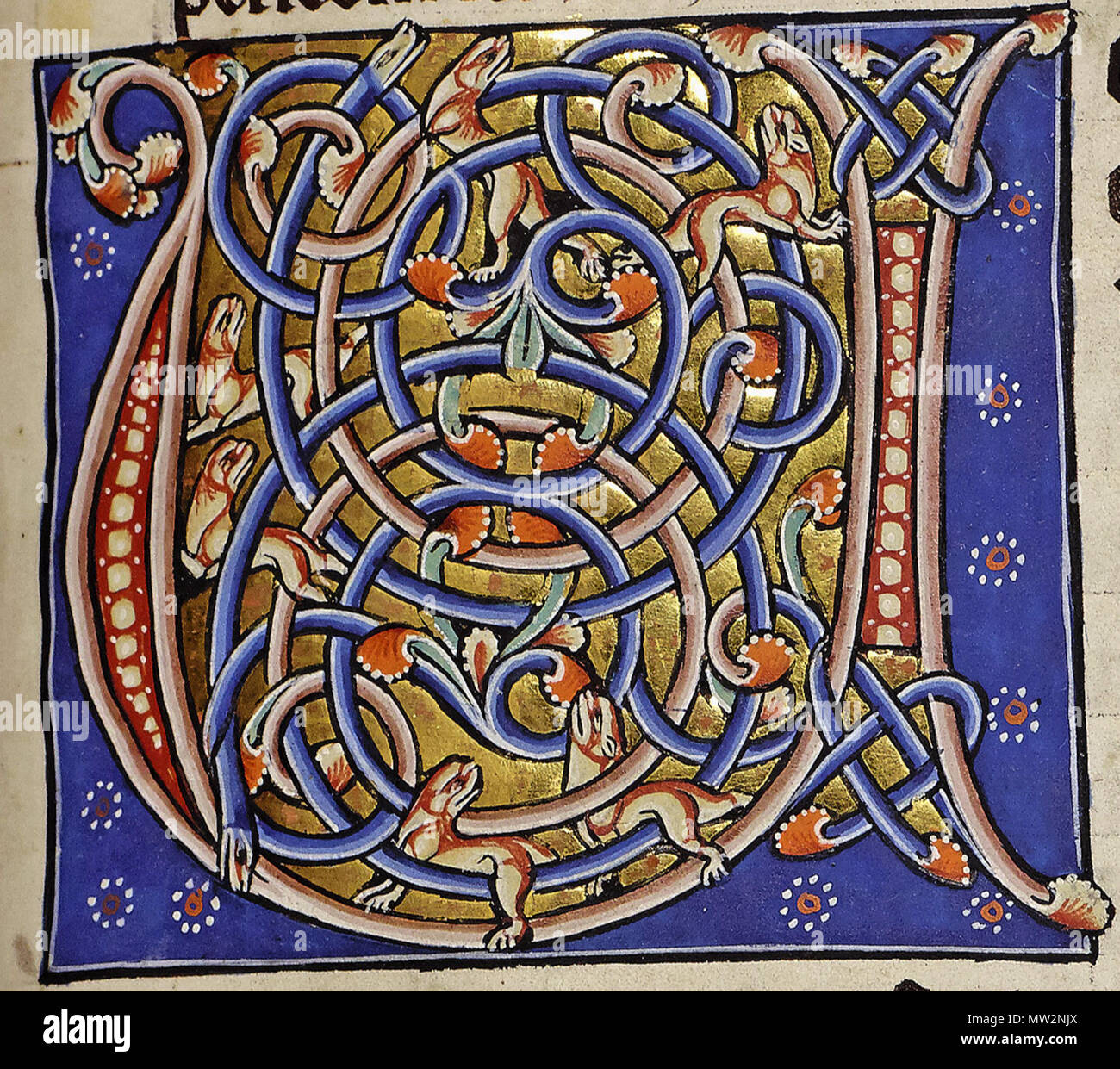 671 Буквица U. Миниатюра из Абердинского бестиария Stock Photo Alamy