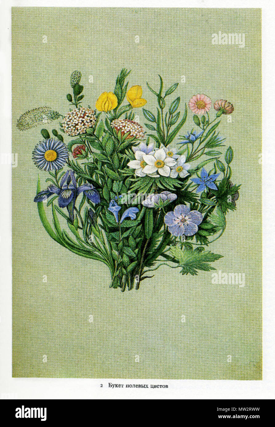 Цветов п ю. Склад цветов розы. Чуприн николай петрович. Кузнецов павел варфоломеевич (1878-1968). Цветов п ю.