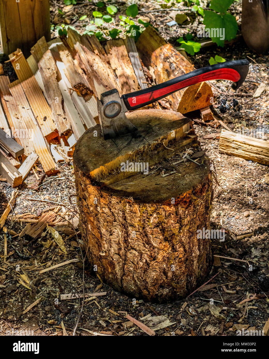 Axe in a log next to a pile of chopped wood. Stock Photo
