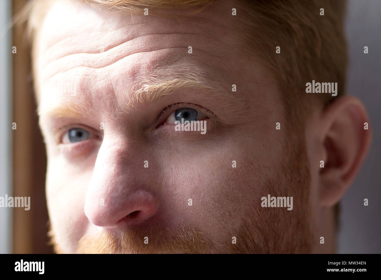 Portrait on Blue Eyed Attractive Man Stock Image - Image of face