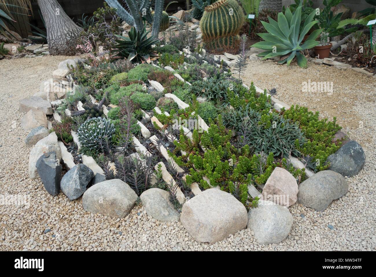 Succulents gravel garden hires stock photography and images Alamy