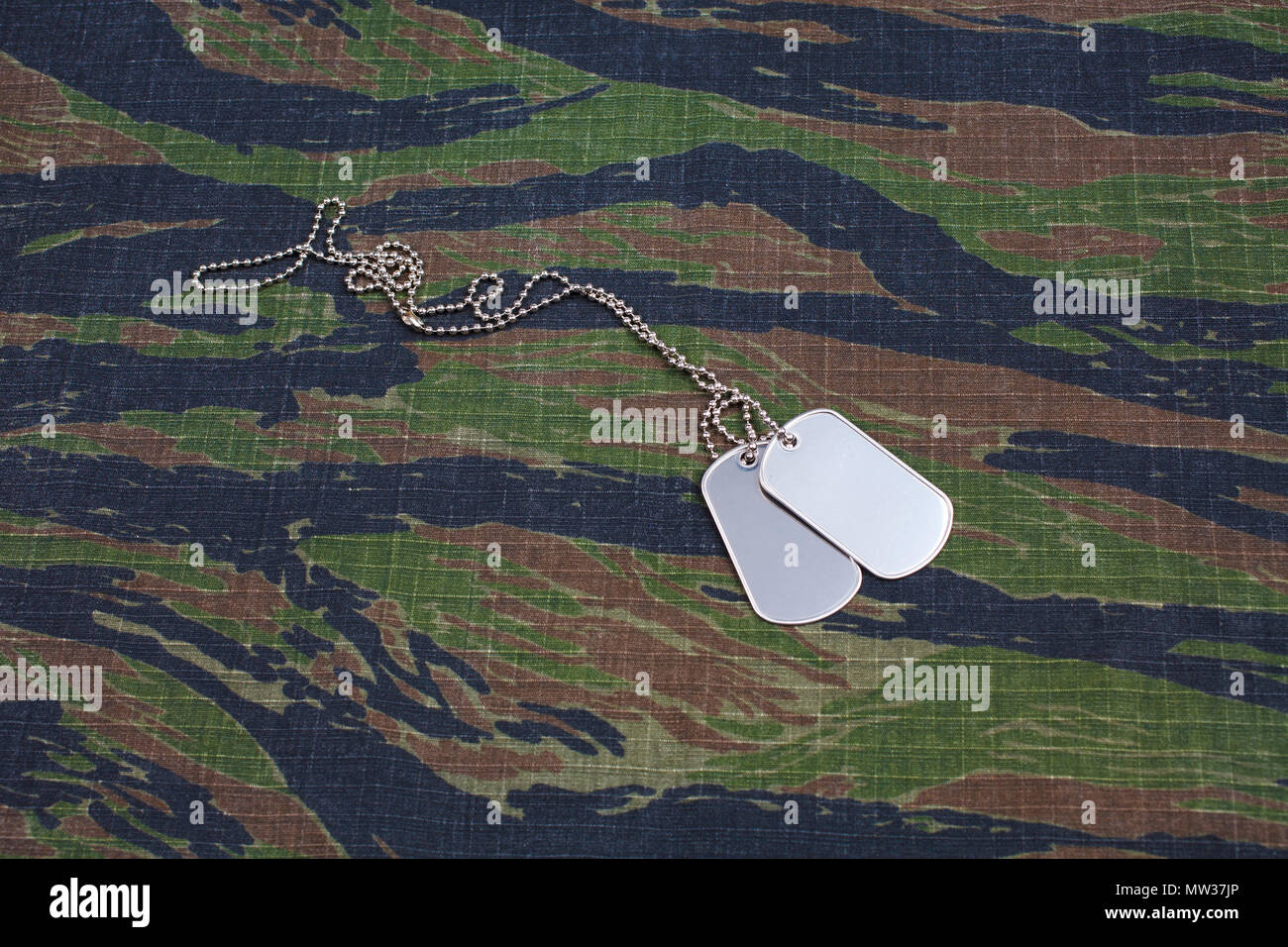 us army tiger stripe camouflaged uniform with blank dog tags background Stock Photo