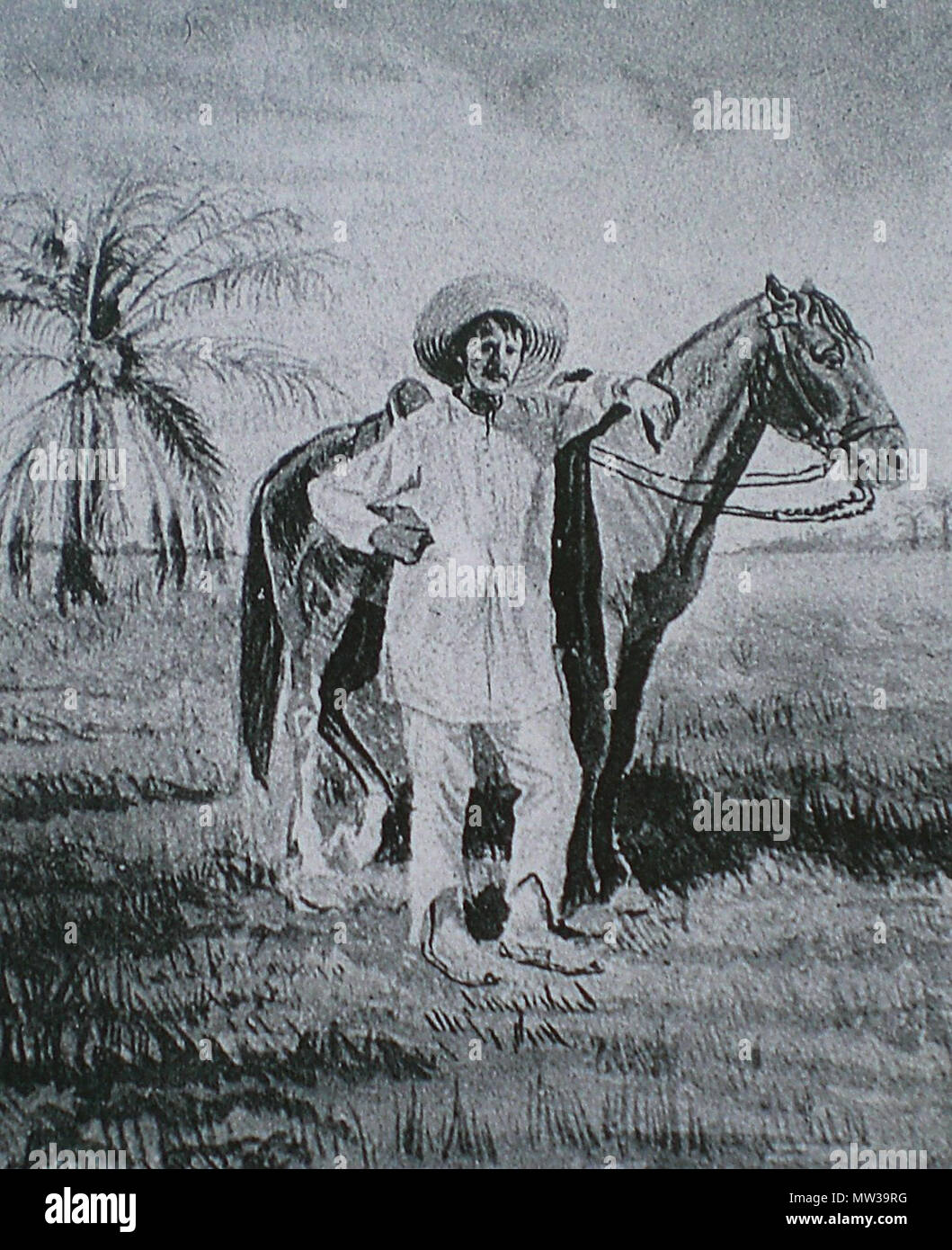. XIX century Venezuelan llanero. 19th century. Eloy Palacios 655 XIX century Llanero - Eloy Palacios Stock Photo