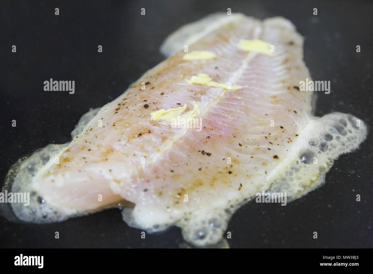 Fresh raw fish catfish fillet hi-res stock photography and images - Alamy