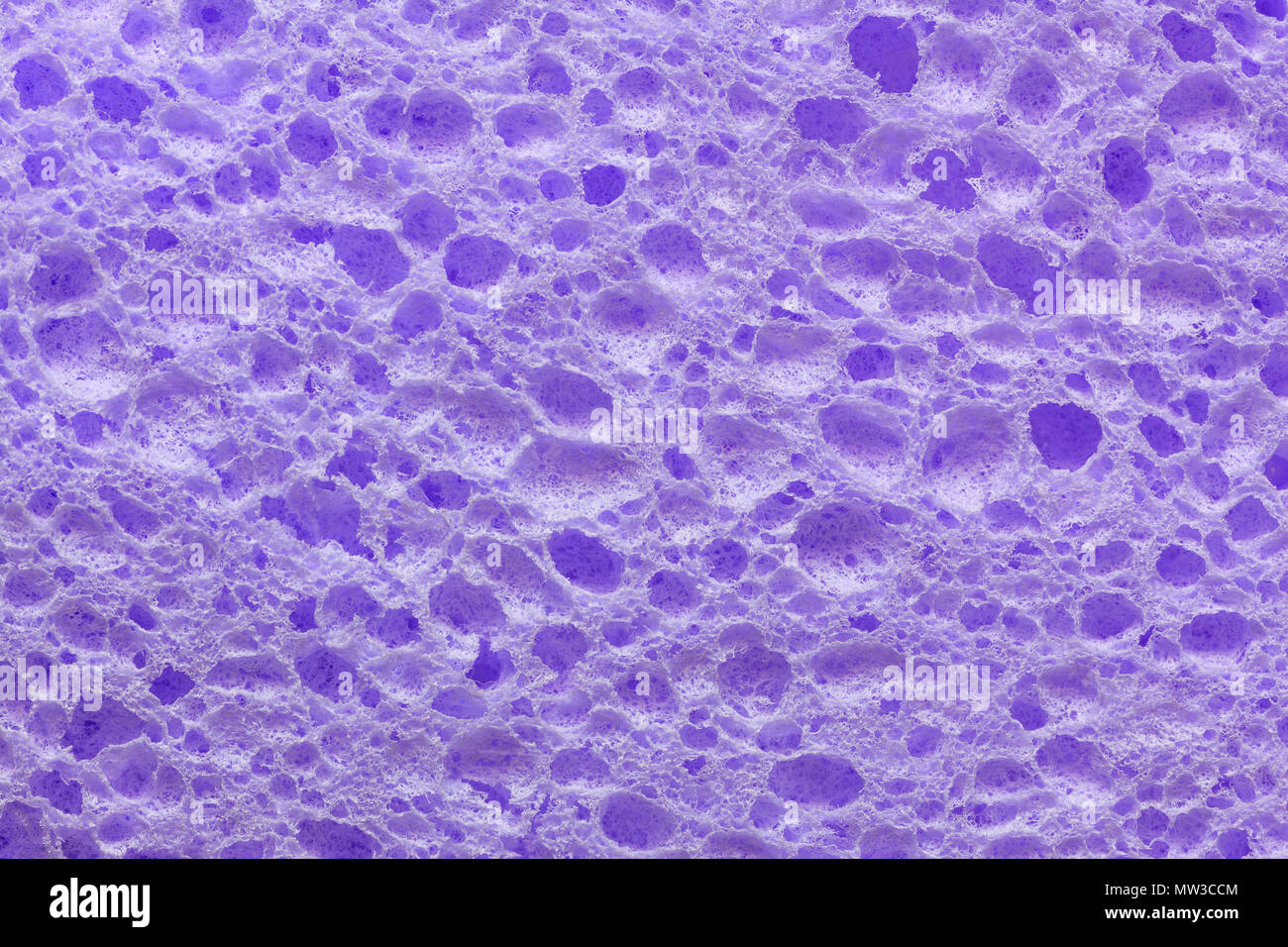 A colorful sponge texture, violet, purple sponge background Stock Photo