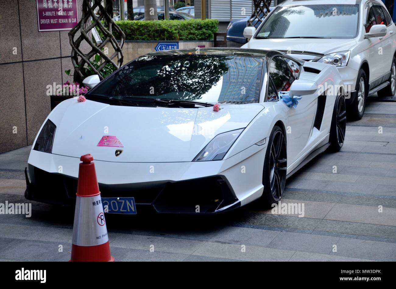 Lamborghini marco polo hot sale