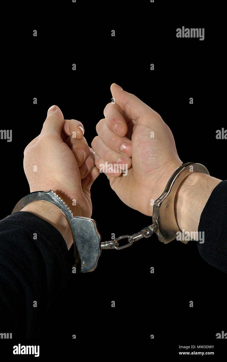 handcuffs to the wrists of an arrested Stock Photo Alamy