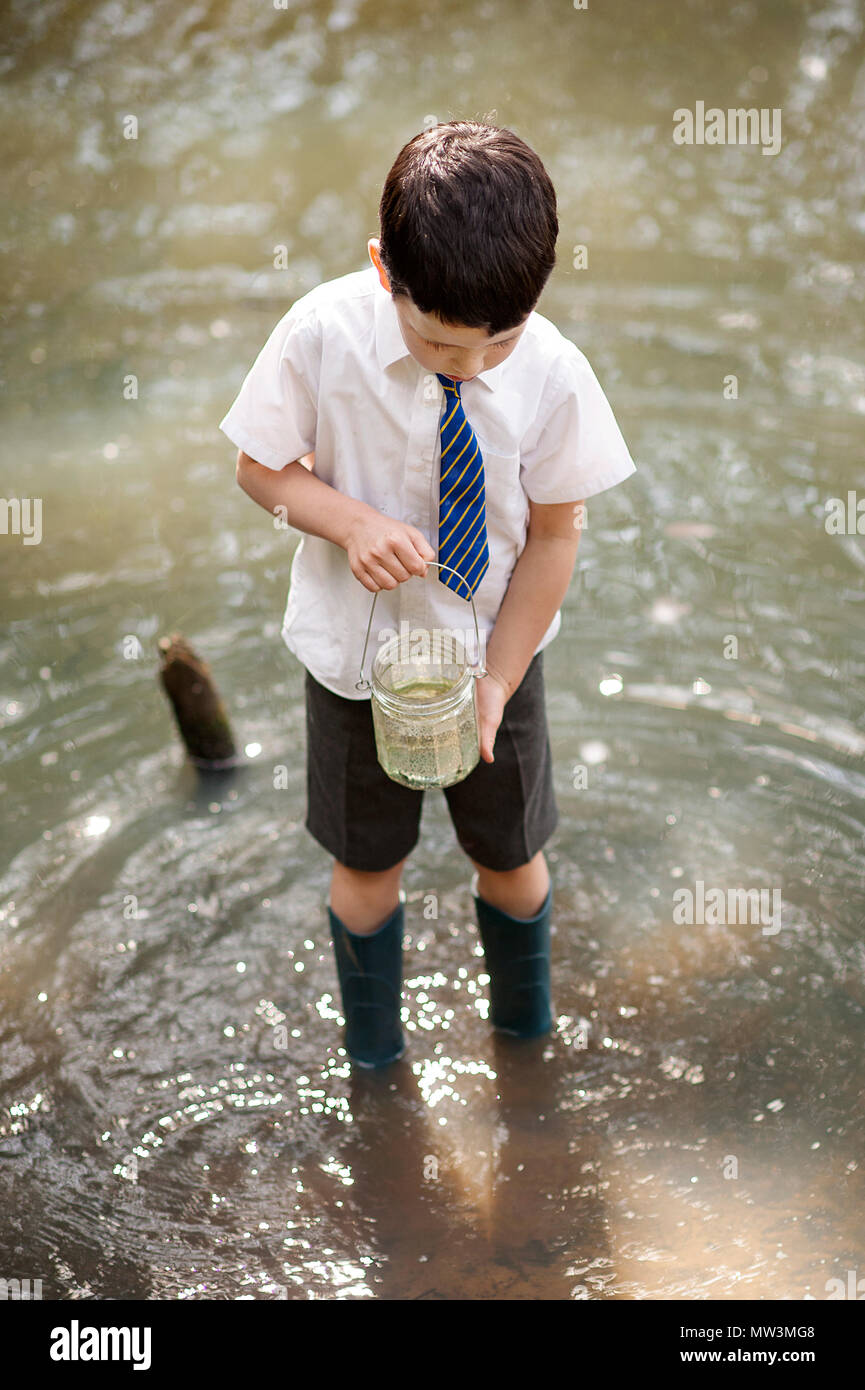 Catching Tadpoles in a Jam Jar Stock Photo Alamy