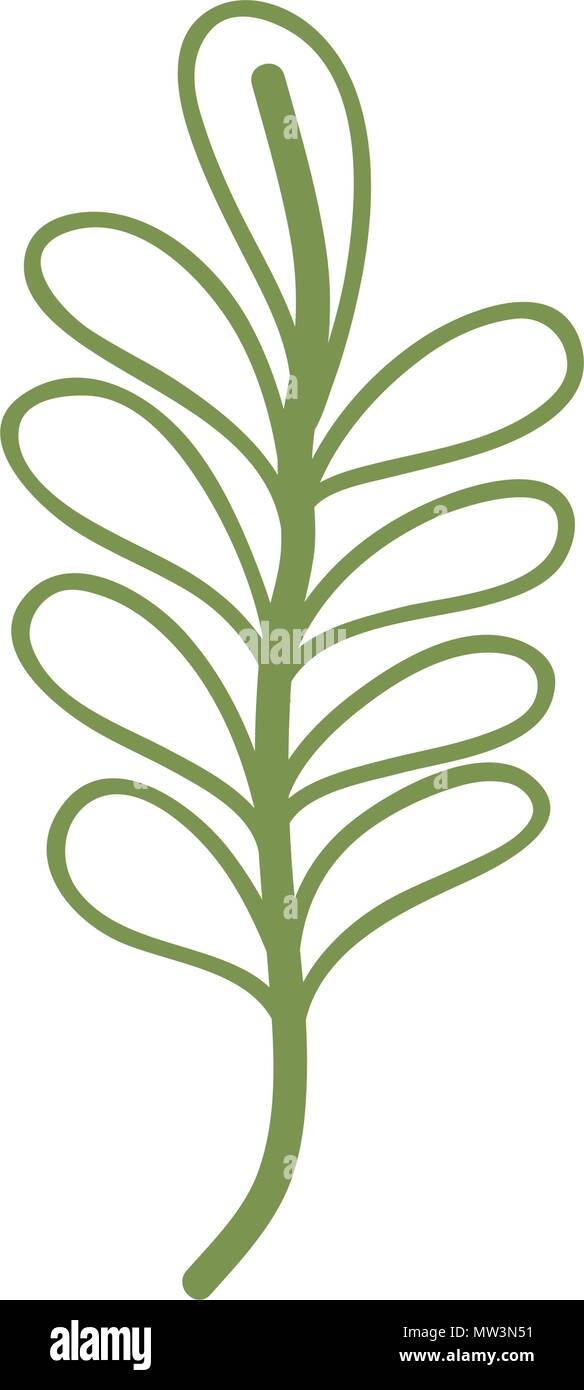 nature branch plant leaves style Stock Vector Image & Art - Alamy