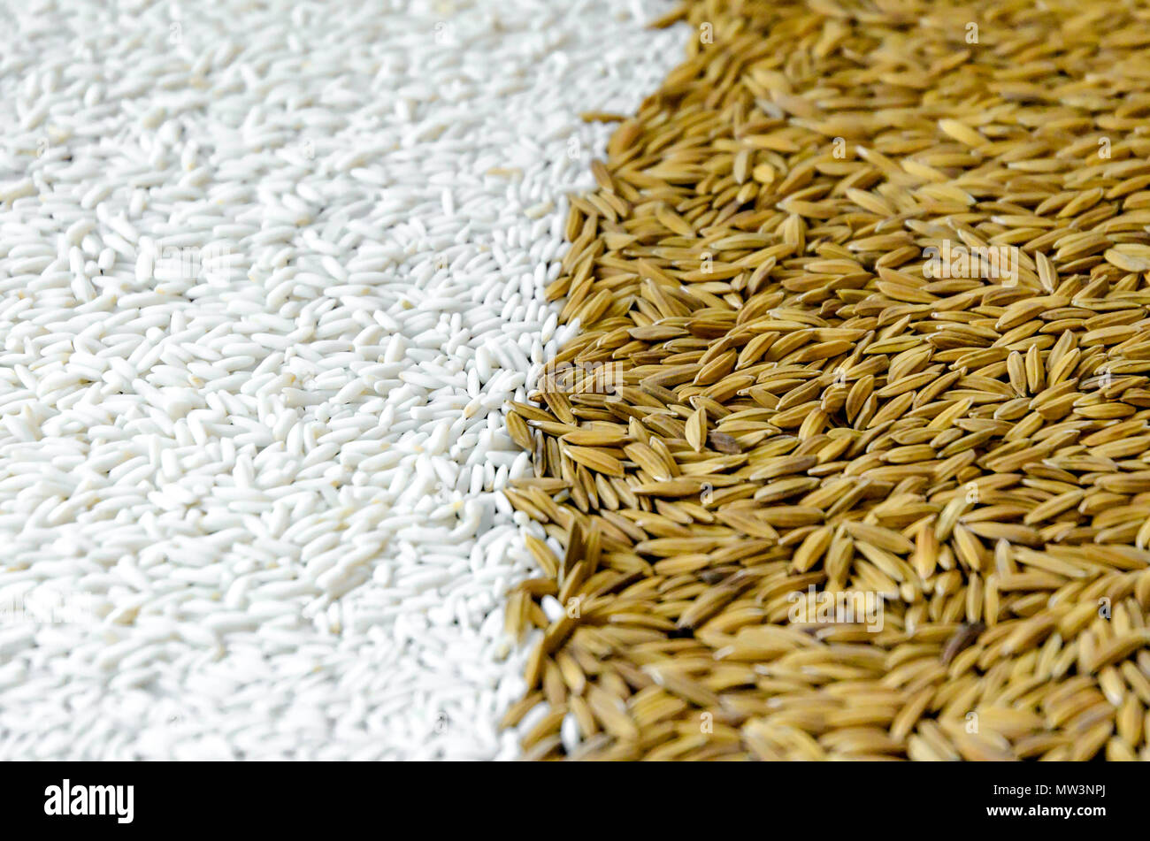 Background from pile of paddy rice and and rice seed, Brown of rice grain and close-up of rice pile Stock Photo