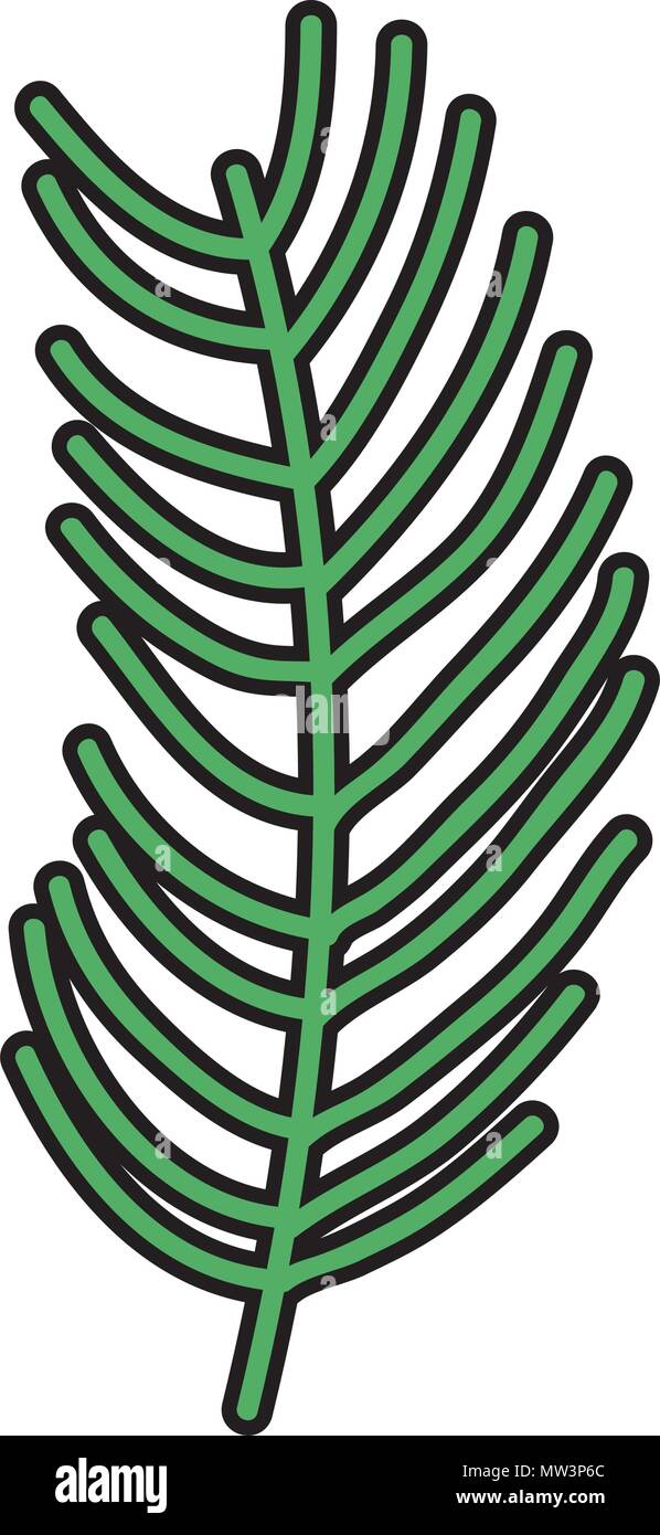 color nature branch leaves plant style Stock Vector Image & Art - Alamy