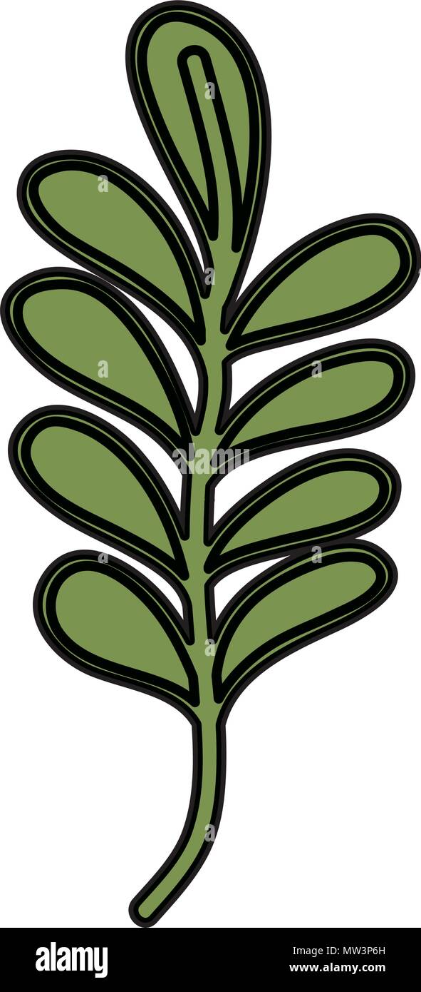 color nature branch plant leaves style Stock Vector Image & Art - Alamy