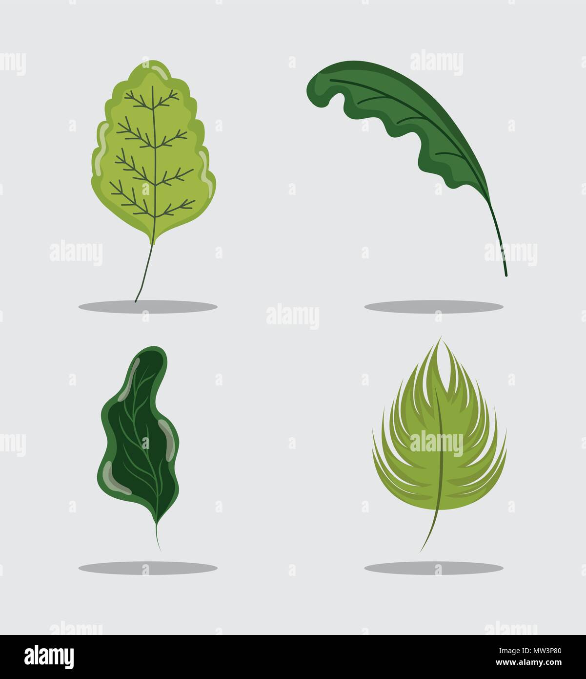 Set of leaves Stock Vector Image & Art - Alamy