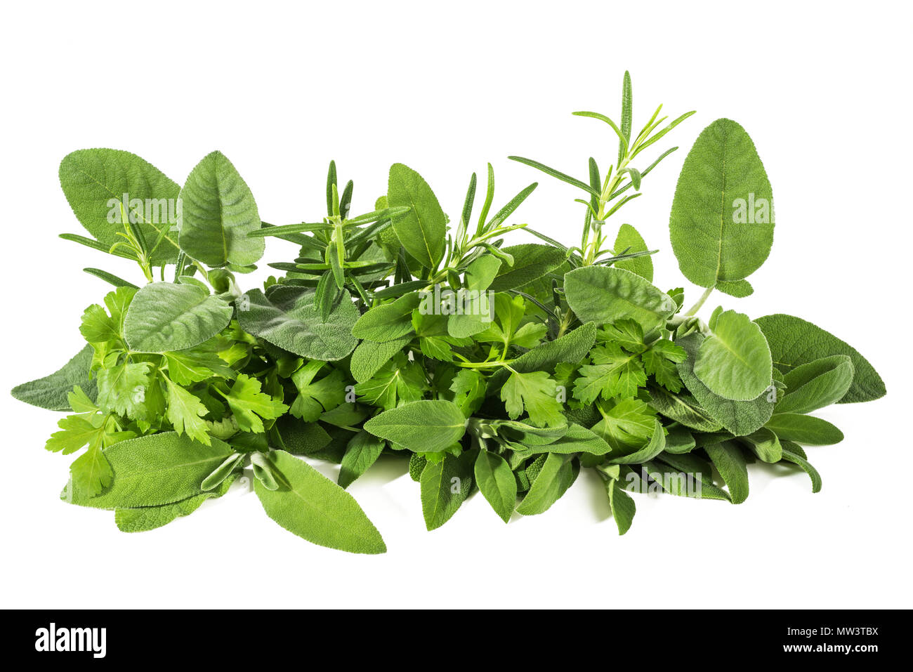 Fresh herbs mix  isolated on white background Stock Photo