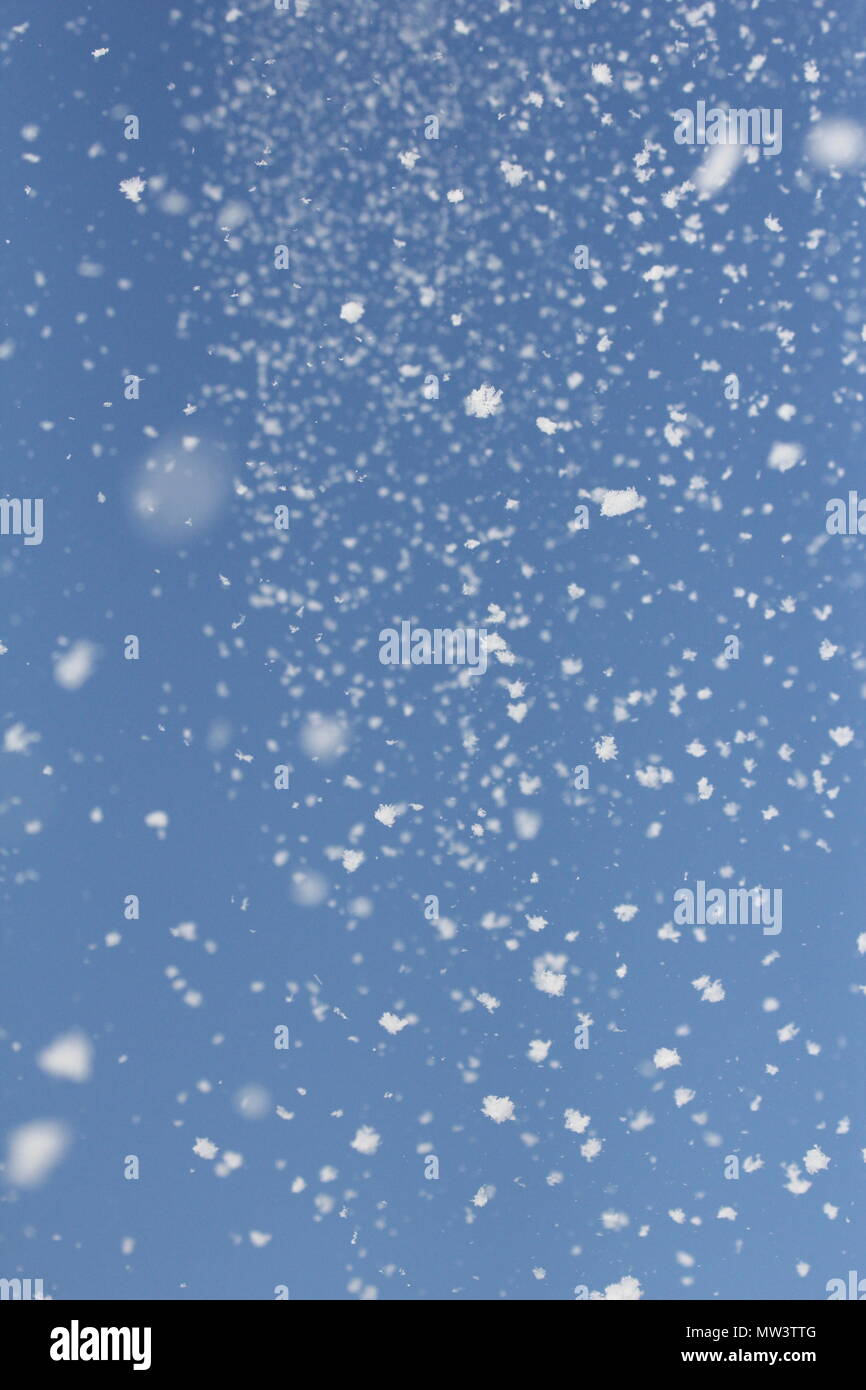 Snow flakes falling Stock Photo