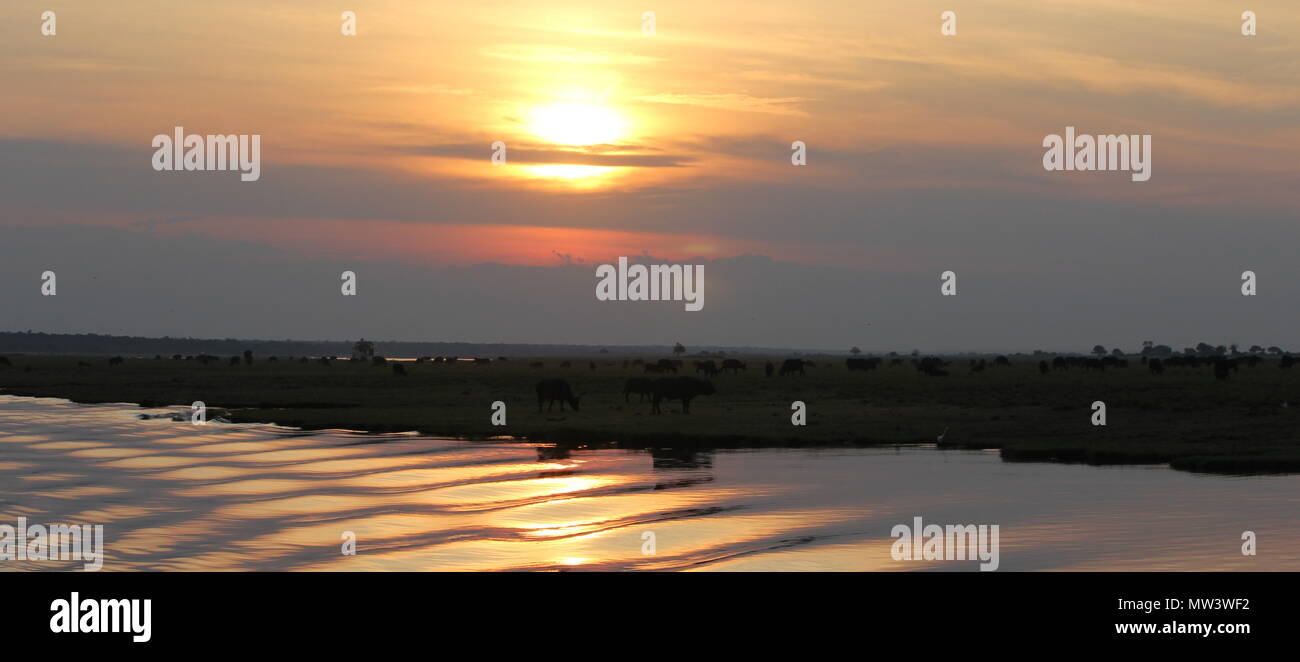 Sunset over Etosha national park Namibia Stock Photo