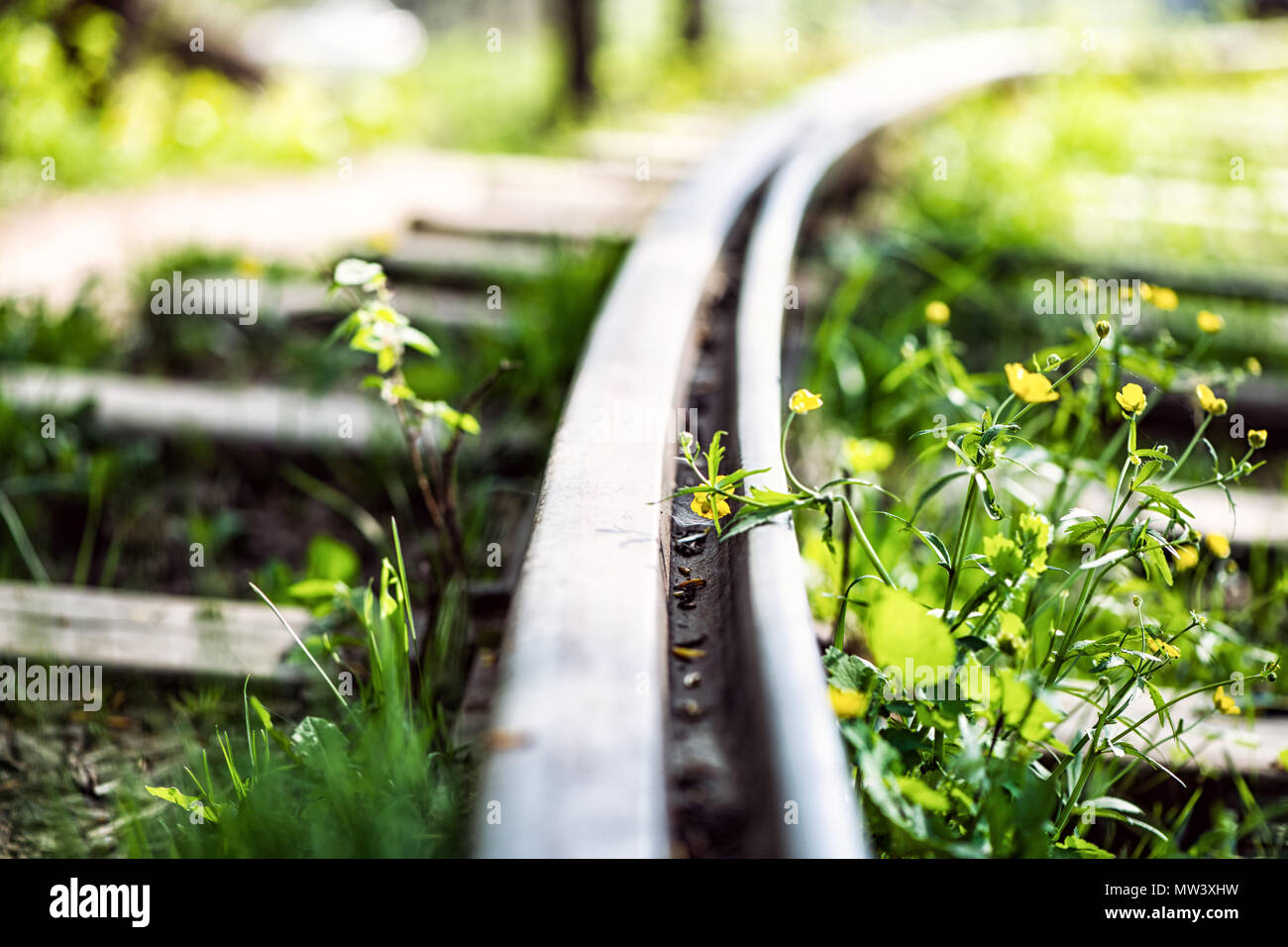 Messy Rails Old grassy rails on abandoned railway tracks closeup Stock Photo - Alamy