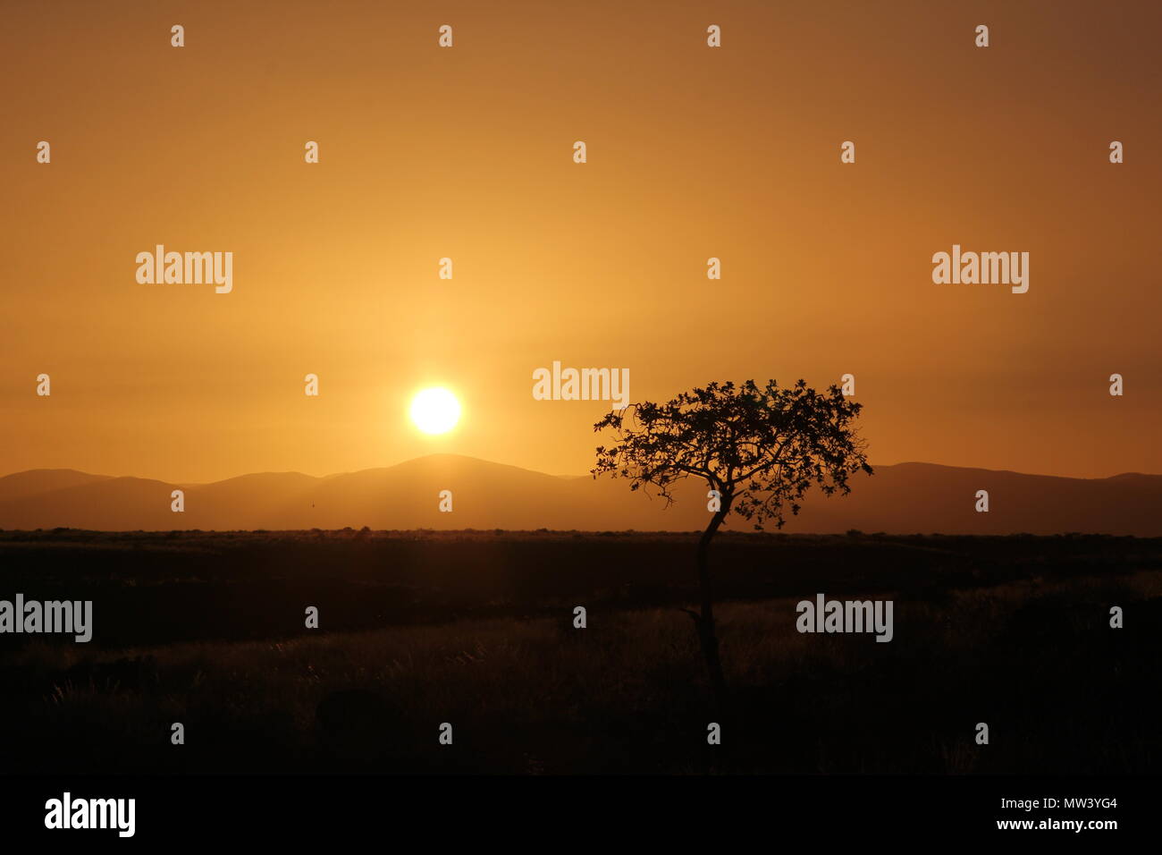 African savannah sunset hi-res stock photography and images - Alamy