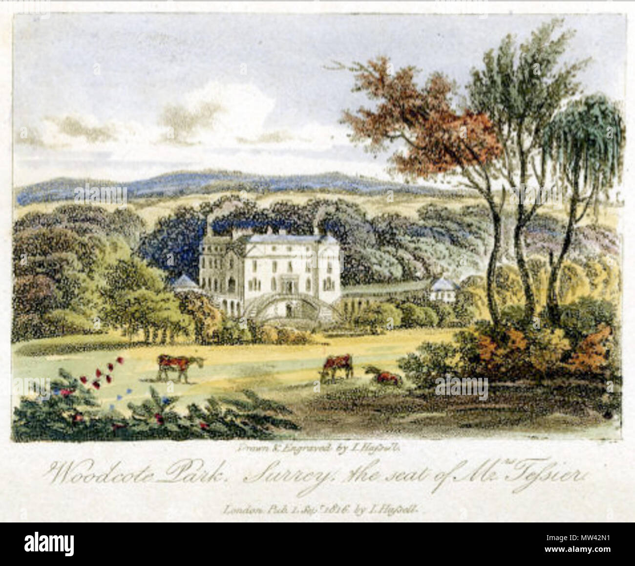 . English: Engraving of Woodcote Park . circa 1816. John hassell, c1816 653 WoodcotePark 1816 Hassell Stock Photo