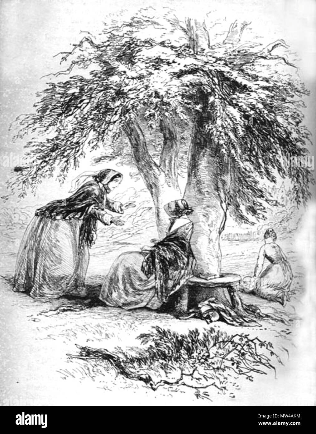 . English: Lady Dedlock in the Wood Phiz (Hablot K. Browne) 1853 Etching 5 3/8 x 4 3/8 inches on a page of 8 7/16 x 5 inches Facing p. 357 (ch. 36, 'Chesney Wold') of Dickens's Bleak House . 6 February 2012, 15:17:05. Hablot Knight Browne (Phiz) 356 Lady Dedlock in the Wood Stock Photo