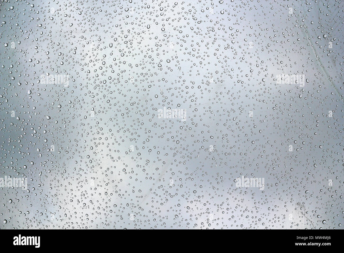 abstract view of water droplets on glass surface in a rainy day Stock Photo
