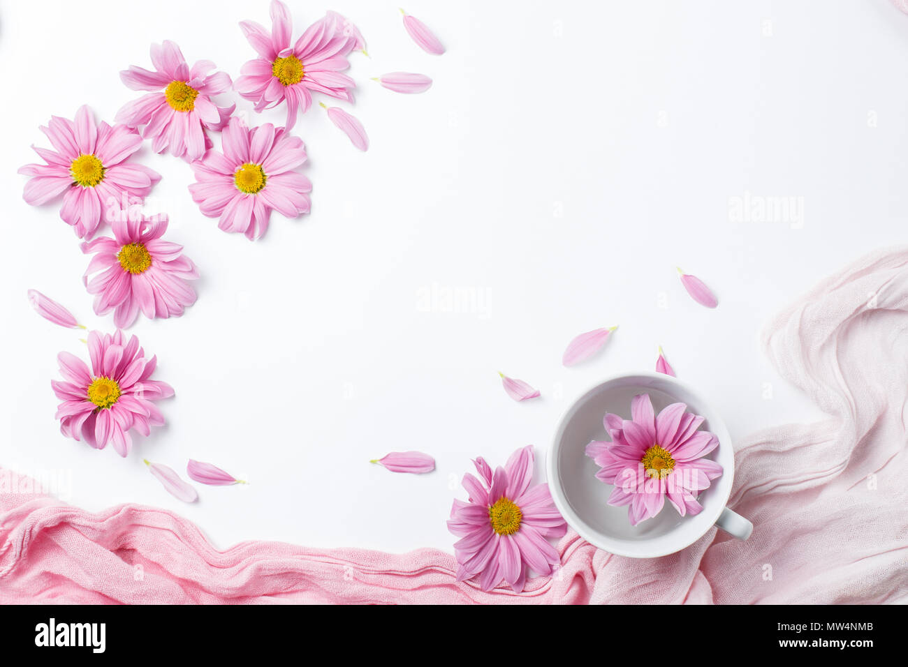 pink gerbera flowers fly out of a cup of tea. Copy space, top view. Stock Photo