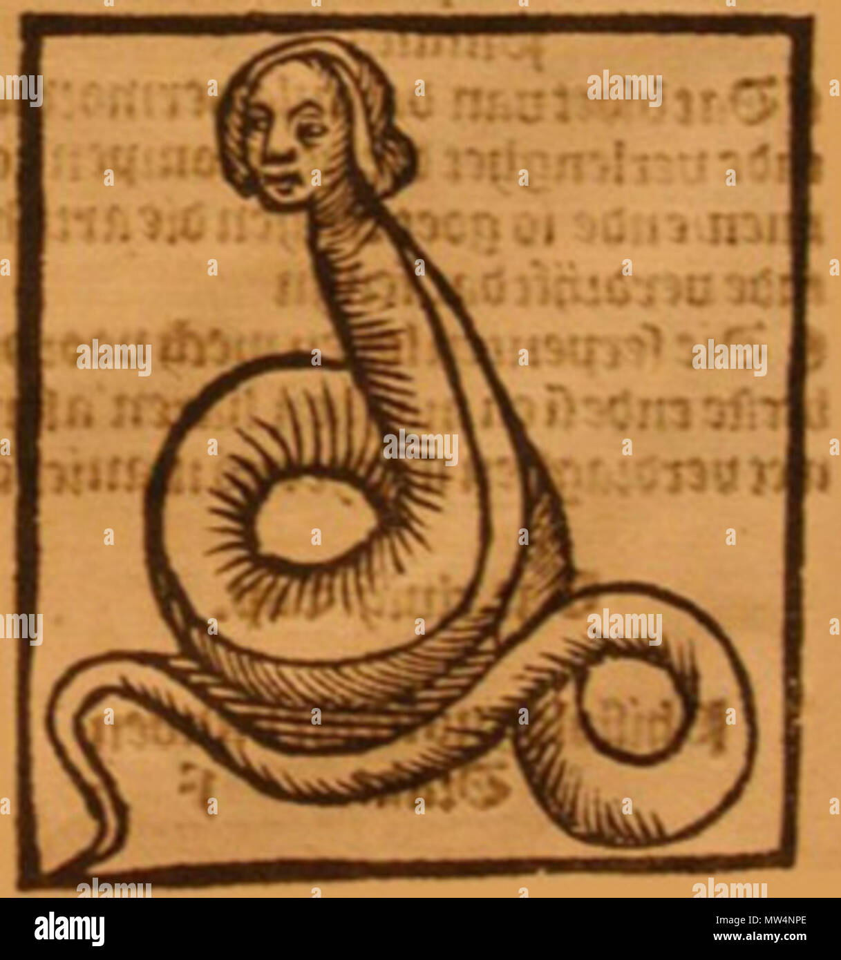 . Italiano Antica incisione nello 'Speculum naturale' di Vincenzo di