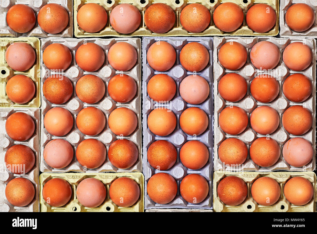 A lot of brown tone eggs over a egg cartons of different colors. Stock Photo