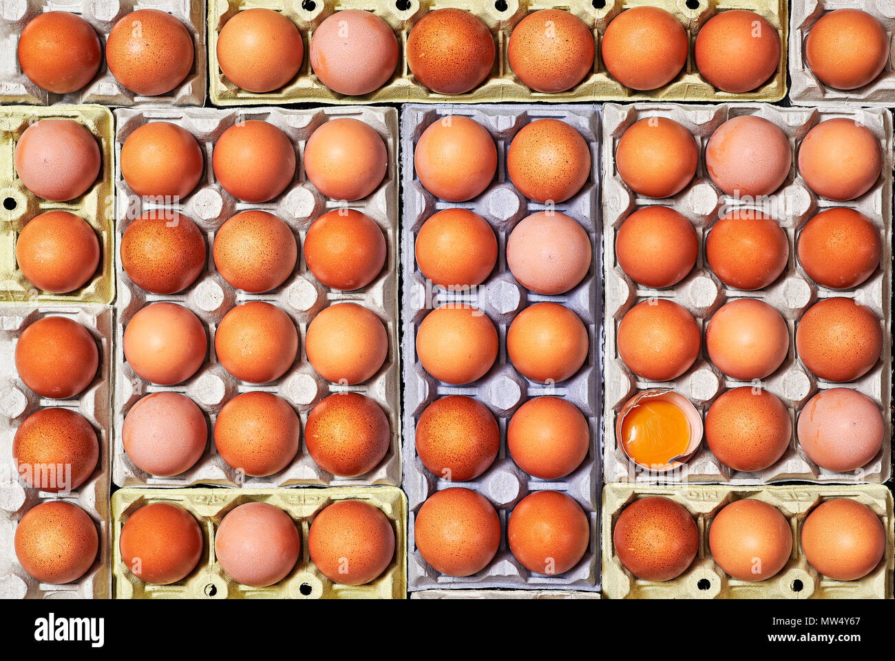 A lot of brown eggs and unique one egg cracked over a egg cartons. Stock Photo