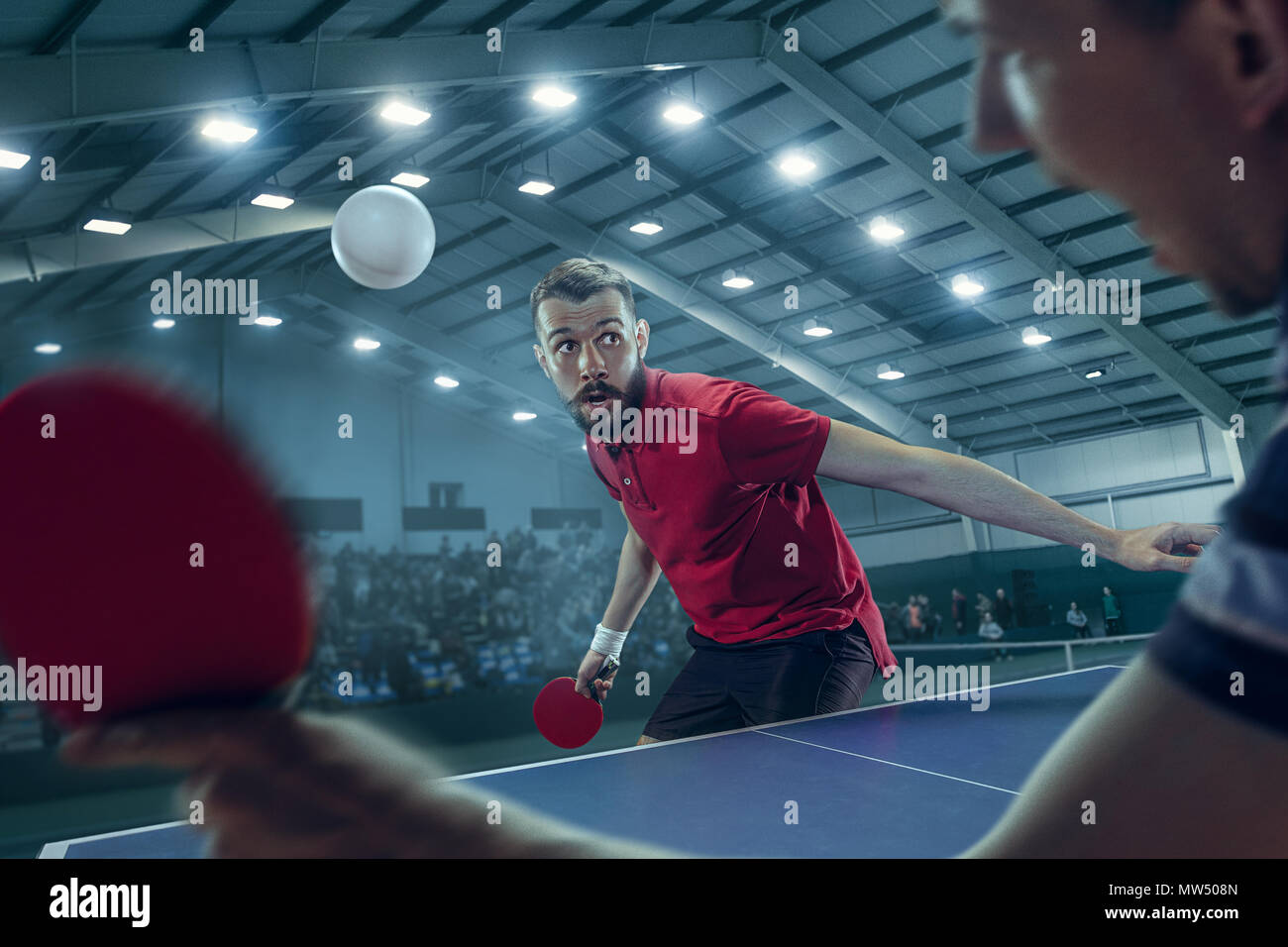 The table tennis player serving Stock Photo Alamy