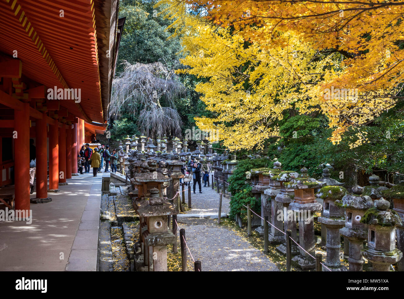 Japan , Nara City, Kasuga Taisha Shinto Shrine, Stock Photo