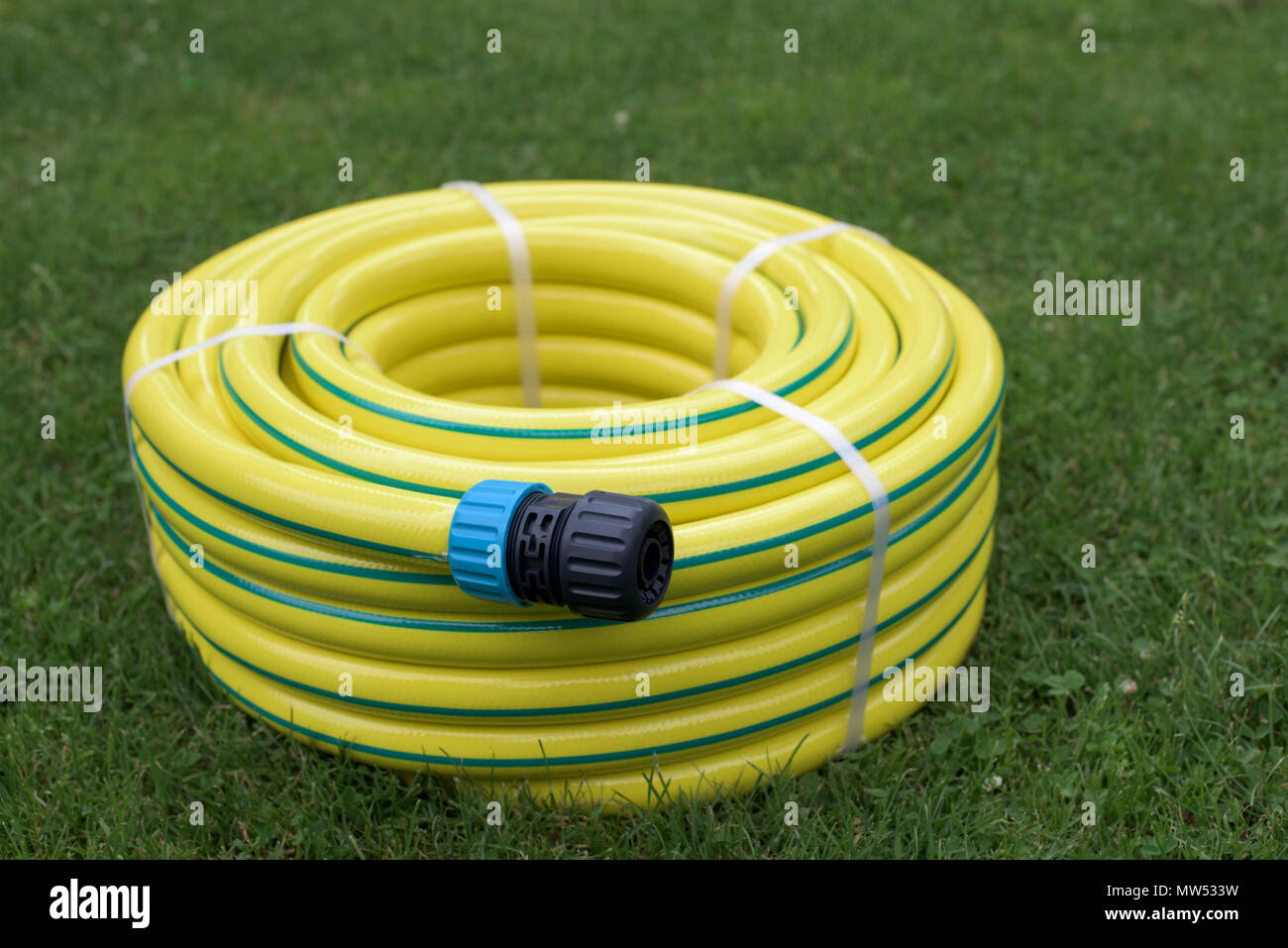 New yellow hose pipe in a garden Stock Photo