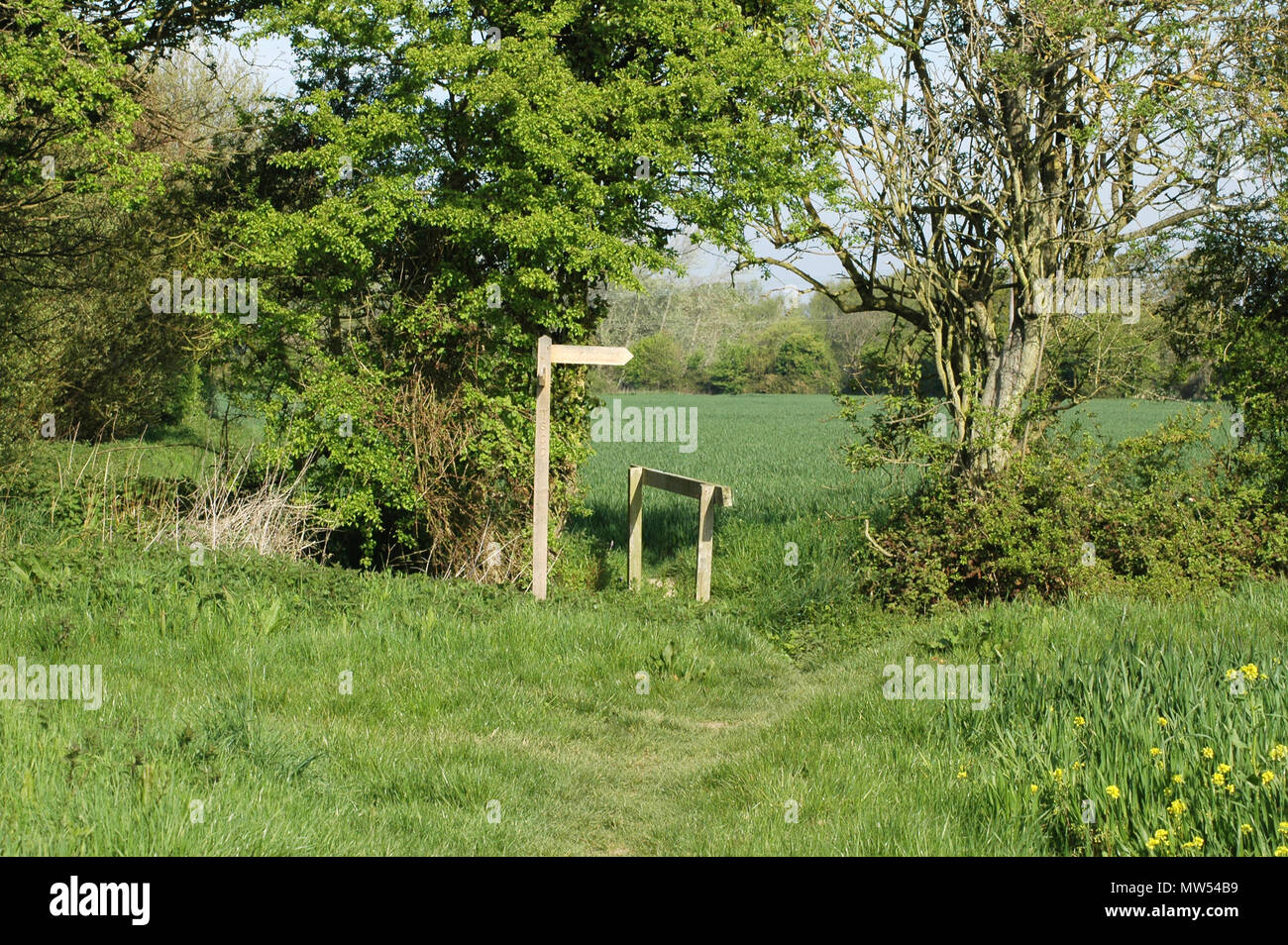 Footpath signpost and bridge at junction of footpaths, Coastal Plain, West Sussex. Stock Photo